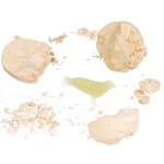 Исторические раскопки Науки с Буки Bondibon, Акулы, арт.ST034906