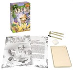 Исторические раскопки Науки с Буки Bondibon Камни, арт.550422